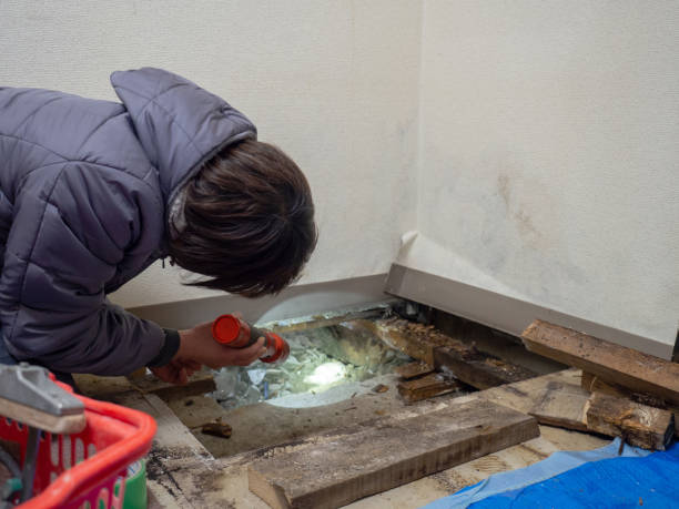 Mold Remediation for Rental Properties in Boswell, PA