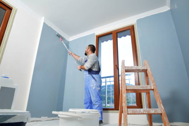 Professional Mold Removal in Boswell, PA