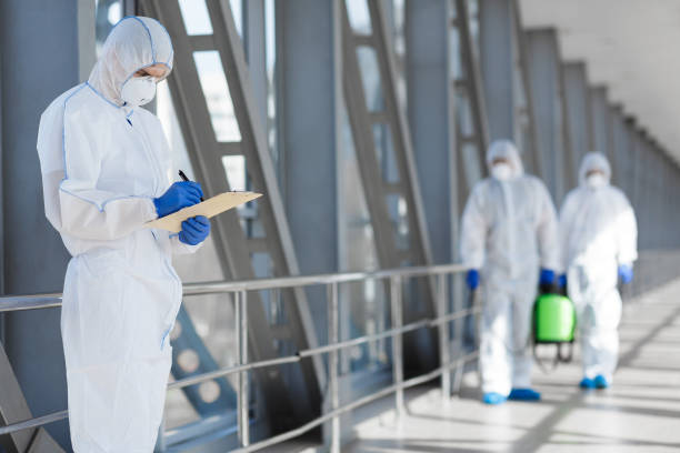 Best Air Quality Testing for Mold Spores  in Boswell, PA