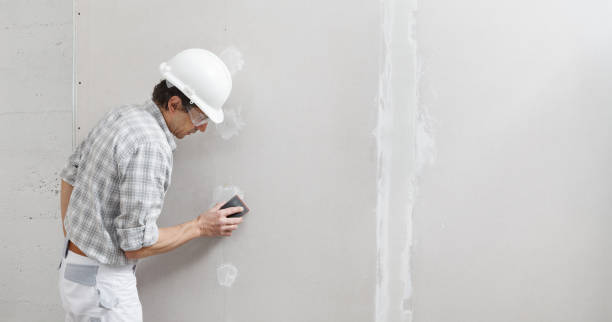 Best Water Damage & Mold Remediation  in Boswell, PA
