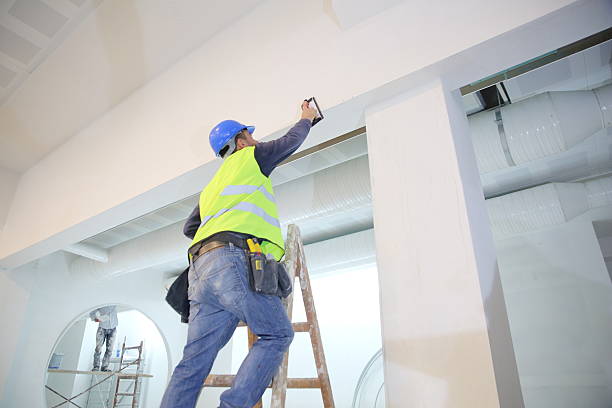 Best Forensic Mold Investigation  in Boswell, PA